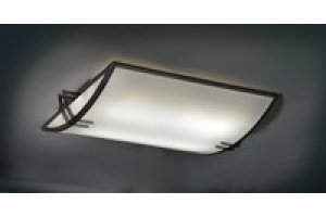 Ultralights Lighting Ceiling Fixtures