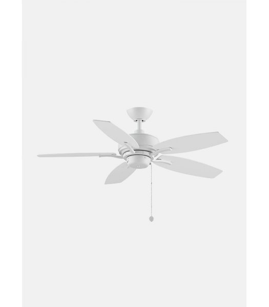 Fanimation FP6245BMW Aire Deluxe Ceiling Fan 