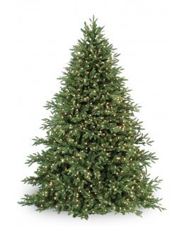 CLP7304  LED 6.5 FT Prelit Warm White CAROLINA FIR Christmas Tree, 700 light count 10 YEAR WARRANTY