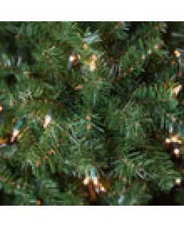 CLP7306  LED 4.5 FT Prelit Warm White DOUGLAS FIR Christmas Tree, 200 light count 10 YEAR WARRANTY