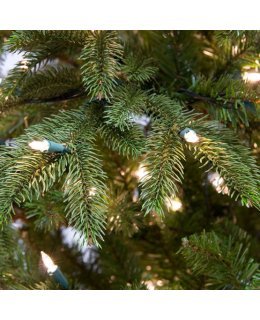 CLP7309  4.5 FT Prelit Warm White LED FRASER FIR Christmas Tree, 150 light count 10 YEAR WARRANTY
