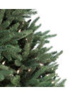 CLP7315  LED 6.5 FT Prelit Warm White NOBLE FIR Christmas Tree, 600 light count 10 YEAR WARRANTY
